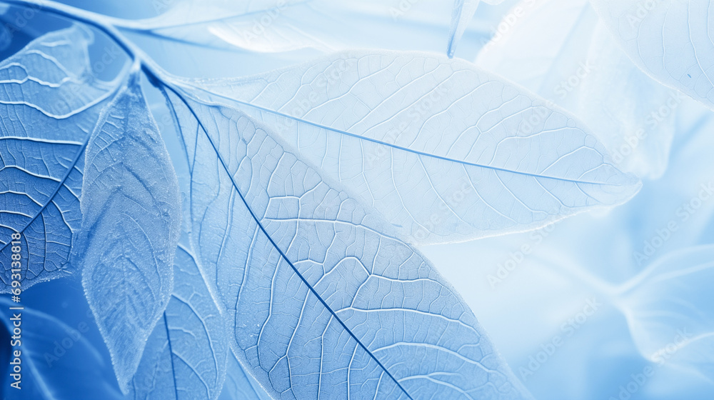 Close-up of delicate leaves, covered with frost in ethereal blue tones, showcasing intricate vein patterns and textures. Close-up of delicate leaves, covered with frost in ethereal blue tones, showcasing intricate vein patterns and textures.