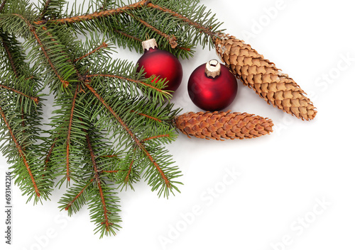 Christmas trees with cones and Christmas toys.