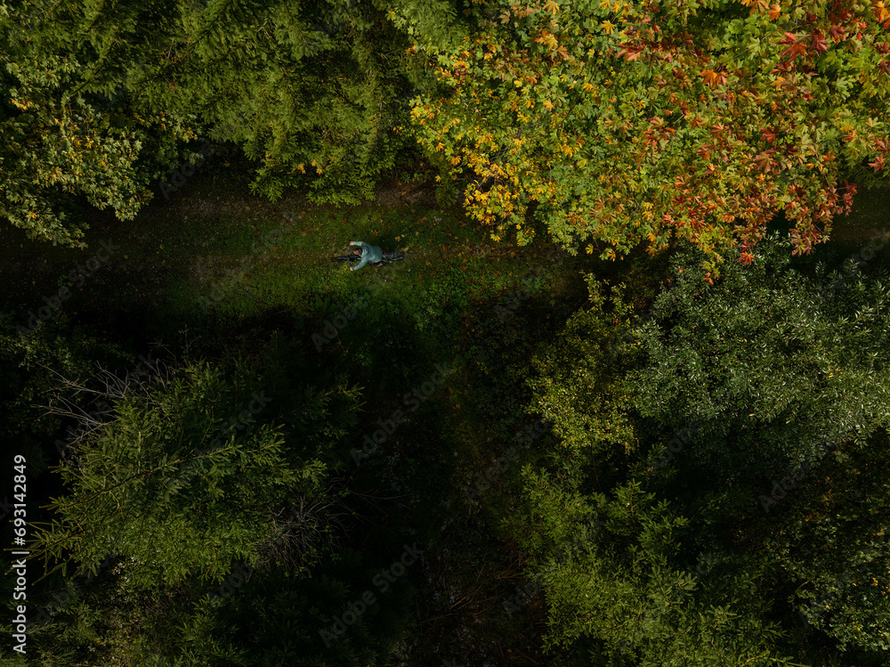 Autumnal Hues in a Forest Aerial View while a cyclist is riding his bike