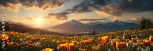 A field of vibrant flowers dances under a mesmerizing sunset in the background, creating a picturesque and serene scene