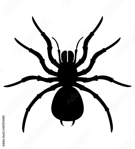spider insects wildlife animals vector illustration