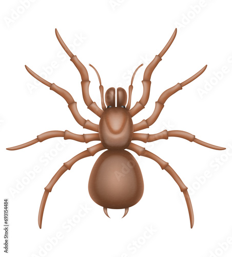 spider insects wildlife animals vector illustration