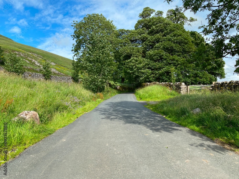 Gordale Lane, with wild grass verges, stone walls, and old trees, and a sunny day near, Malham, UK