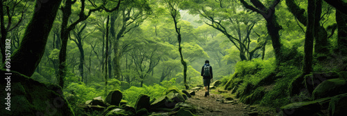 Single traveller walking path through a lush and old green forest photo