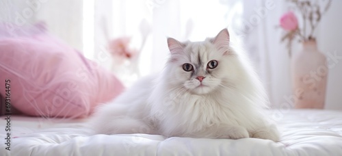 a fluffy white cat sits on a bed with a pink pillow