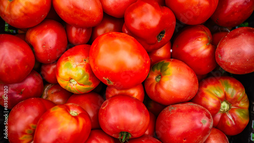 Close up photo of bio tomatoes. Ripe tomatoes  for preparing tomato sauce.