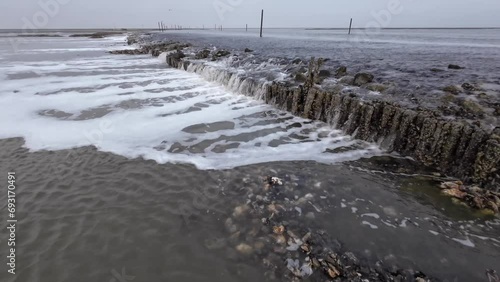 Wasserfall durch Gezeitenströmung im Wattenmeer mit wilden Austern- und Miesmuschelbänken, Priel, Ebbe, Nordsee