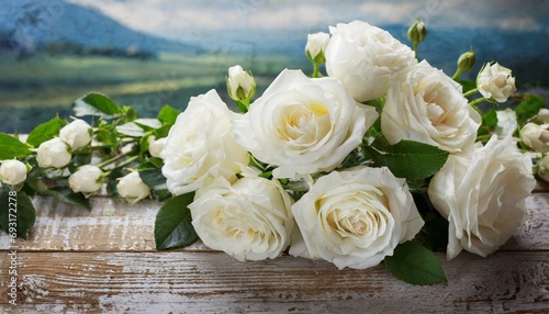white roses on