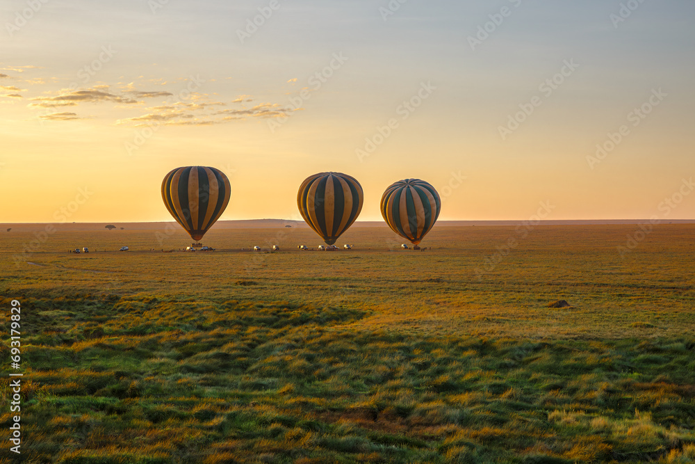 Serengeti Hot Air Balloon Safari - obrazy, fototapety, plakaty 