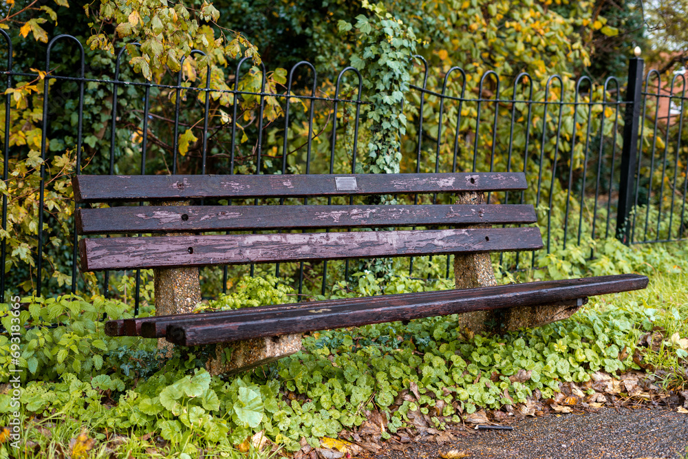 A wooden bench in a public park with autumnal vibes and leaves fallen off the trees A wooden bench in a public park with autumnal vibes and leaves fallen off the trees