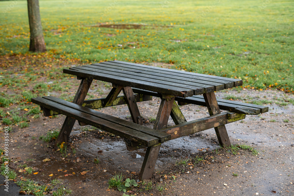 Picnic table in a public park during autumn season Picnic table in a public park during autumn season