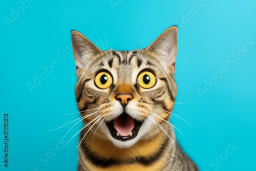 Crazy surprised cat make big eyes. Emotional funny cat looking shocked. Generative AI