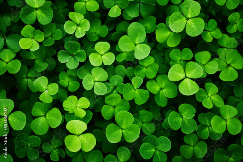 Background with green clover leaves. Shamrock plant in fresh green juicy colors. Generative AI