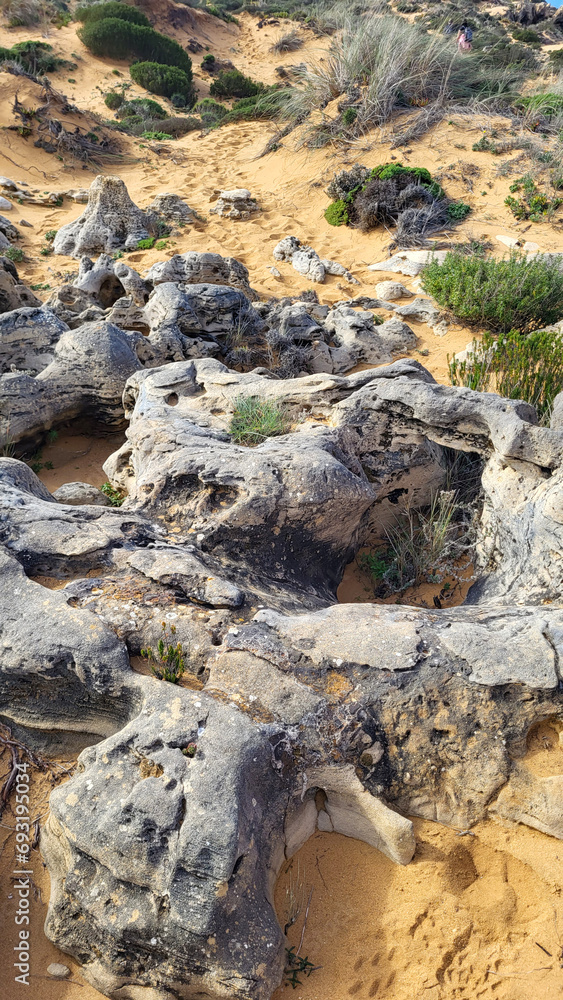 The Almograve Beach With Black Basalt Rocks in Alentejo Coast, Portugal. In the Footsteps of Rota Vicentina. Hiking Fisherman Trail. The Almograve Beach With Black Basalt Rocks in Alentejo Coast, Portugal. In the Footsteps of Rota Vicentina. Hiking Fisherman Trail.