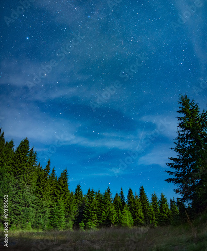 A starry night with dark skies and constellations above a coniferous forest. The spevergreen trees appear as silhouettes in the midnight. Darkness into the mountains. 