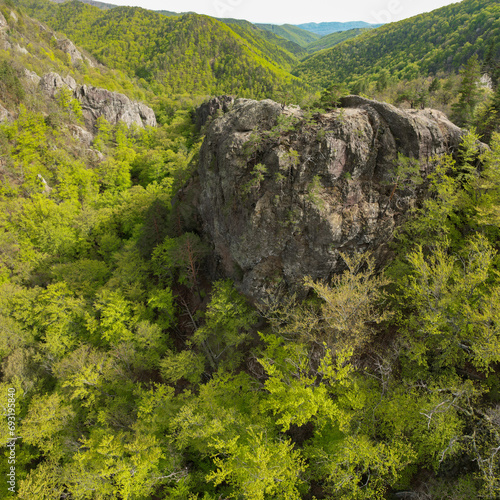 Aerial drone panorama above a valley in the mountains covered by beech woodlands. The trees are blooming. A massive cliff rise in the middle of the valley. Carpathia  Romania.