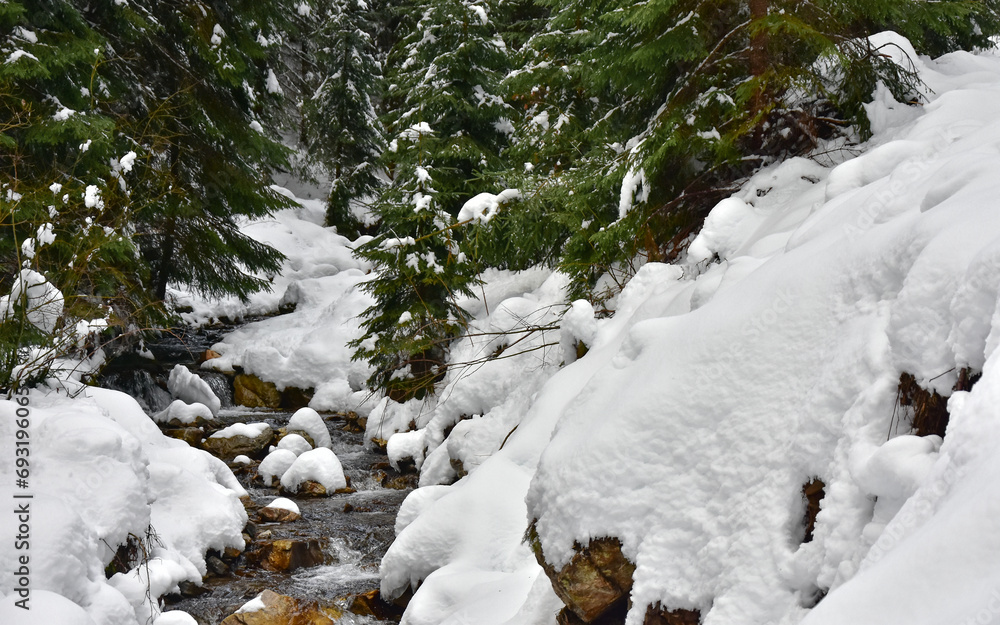 A frozen mountain stream, flowing through snowed boulders and trees. Deep snow covers the valley and the evergreen woodlands. Carpathia, Romania.
