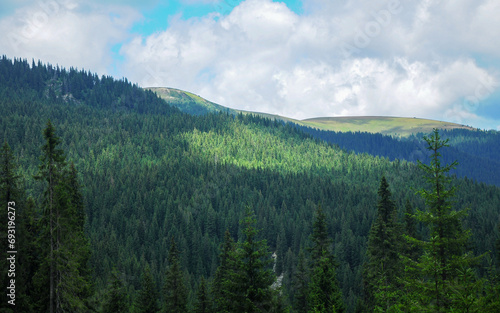 The alpine forested mountainsides of Capatanii Mountains. Evergreen foliage. The mountain peaks are positioned along Latorita Valley. Summer, the spruce forests are all green. Carpathia, Romania. photo