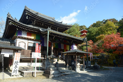 秋の今熊野観音寺　本堂　京都市東山区泉涌寺 © ogurisu