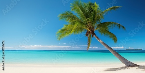 an image of a palm tree on a white sandy beach © ArtCookStudio