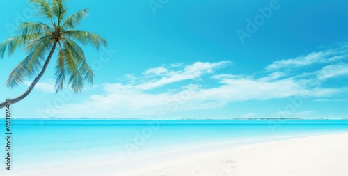 an image of a palm tree on a white sandy beach © ArtCookStudio