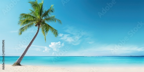 an image of a palm tree on a white sandy beach photo