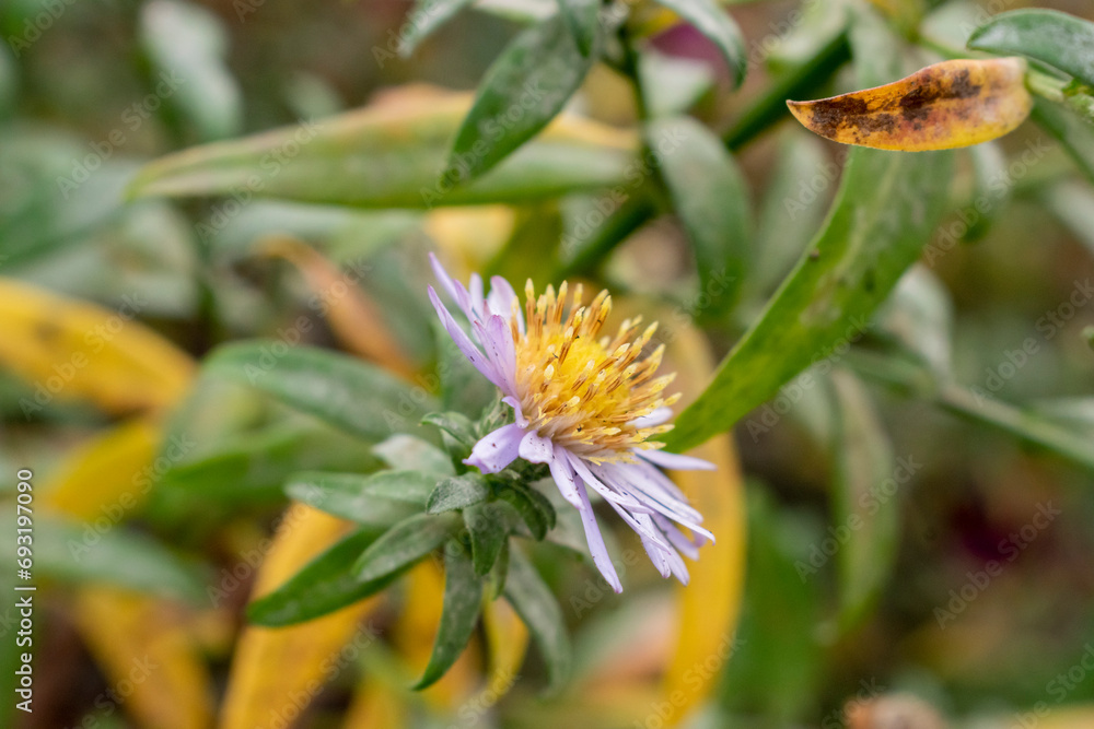 The Wonderful World of Plants The Wonderful World of Plants
