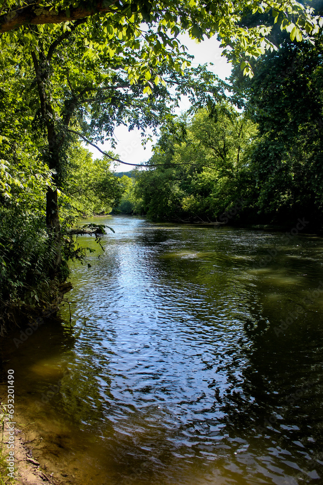 River in the Woods River in the Woods