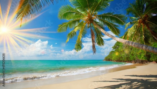 palm and tropical beach