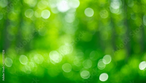 green bokeh background from nature forest out of focus