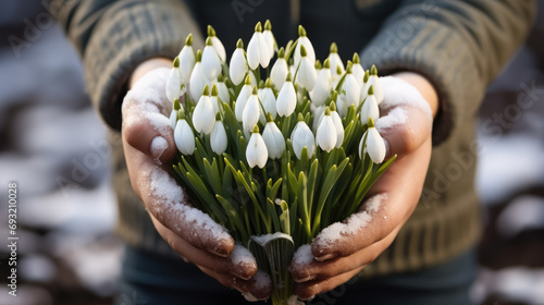 child's hands holding white snowdrops, spring, bloom, thaw, bouquet, holiday, congratulations, beauty, flowers, plant, nature, fingers, postcard, St. Valentine, women's day, blossom photo