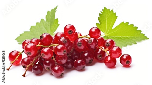 Fresh Red Currants with Green leaves on White Background. Perfect for food advertisement, nutrition article, grocery promotion, culinary website, print media, store, supermarket, shop