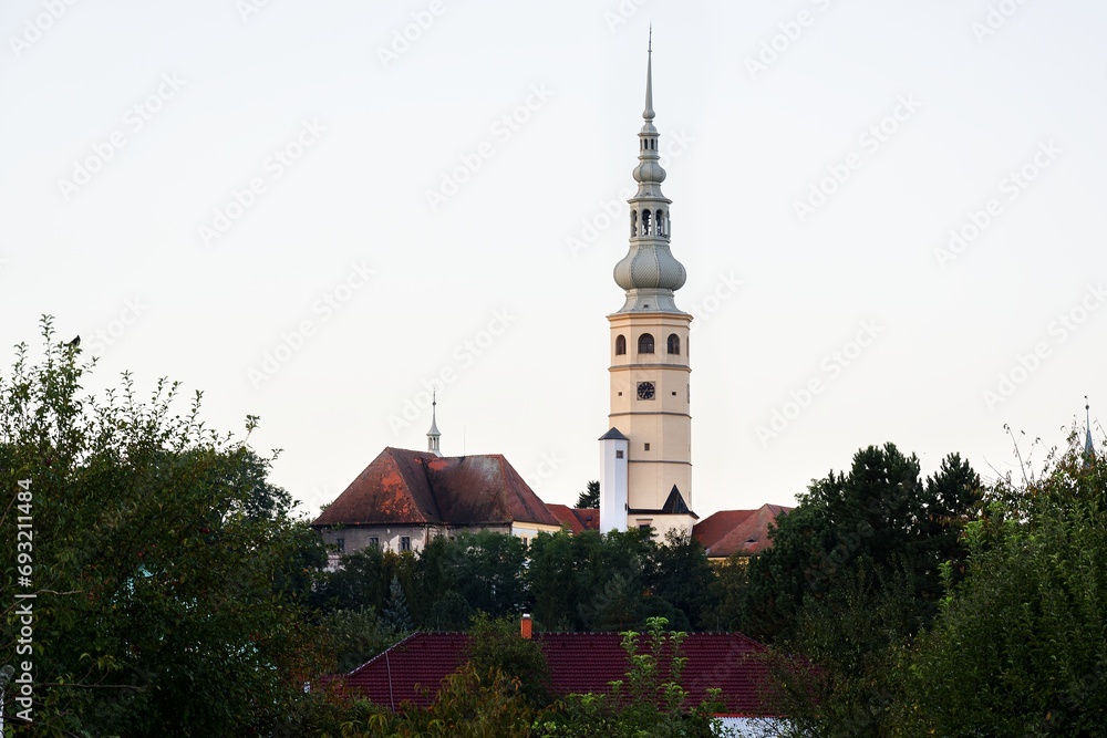 The roofs and tower of the castle. View from the ponds. Tovacov. Czechia. The roofs and tower of the castle. View from the ponds. Tovacov. Czechia.