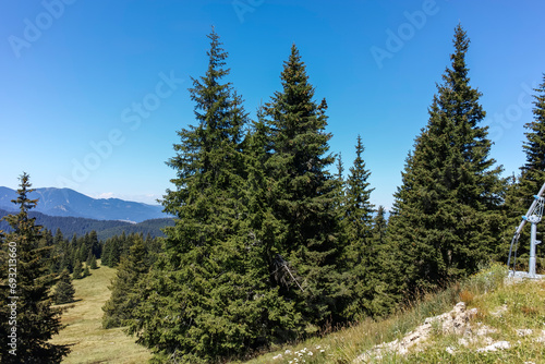 Rhodope Mountains near Snezhanka peak, Bulgaria photo