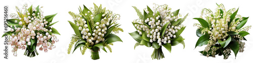 Lily of the valley flowers bouquet Hyperrealistic Highly Detailed Isolated On Transparent Background Png File