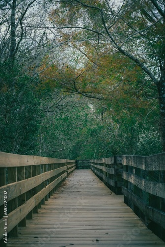 wooden bridge in the woods