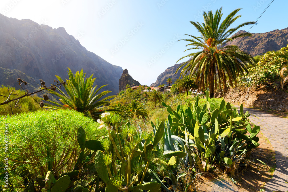 The rugged, high altitude mountain village of Masca Spain, on the Canary island of Tenerife, a small settlement in the Macizo de Teno mountains overlooking the Atlantic Ocean