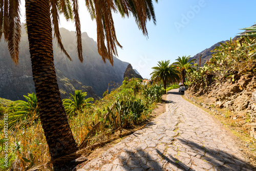 Masca Spain is a small mountain village on the Canary island of Tenerife. photo