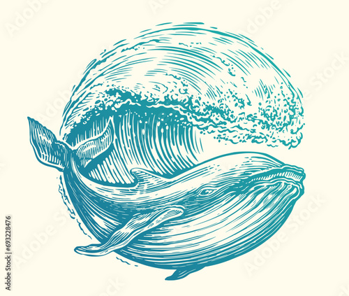 Whale and Sea waves. Emblem in shape circle on theme of sea adventure, travel and discovery
