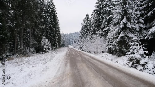snow covered road with forest