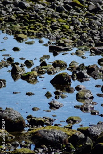 Piedras en un charco