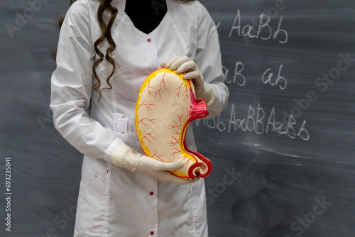 biology teacher explains to students anatomy and  organs theme in microbiology photo