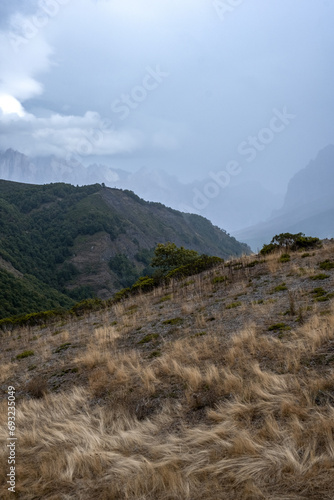 Natural photo of layers of dark sky, mountain range and green forest in Cantabria, picos da europa, leon, asturias, spain © José Rego