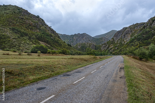 Beautiful landscape photo of road going through natural park full of mountains and trees during summer in cordillera Cantabrica  picos da europa  leon  asturias  spain