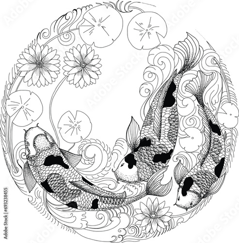 hand drawn koi fish in circle, Japanese carp line drawing coloring book vector image
