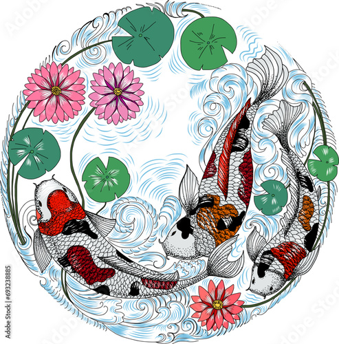 hand drawn koi fish in circle, Japanese carp line drawing coloring book vector image