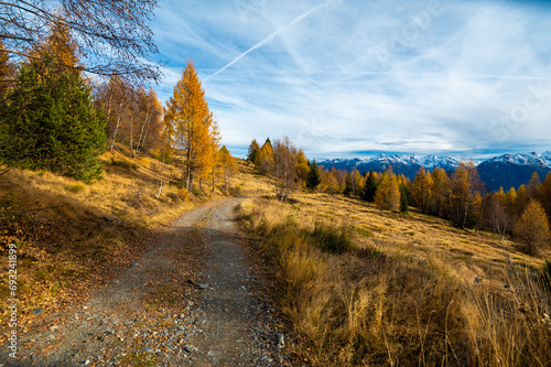 Sentiero/Paesaggio autunnale sulle montagne della Valtellina photo