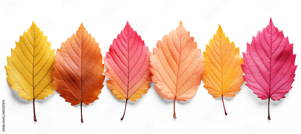 Natural autumn / fall forest or garden design elements isolated over a transparent background, colorful red, green, orange, and yellow leaves, cut-out nature elements. Generative AI