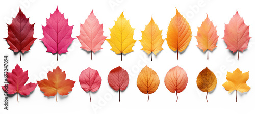 Natural autumn / fall forest or garden design elements isolated over a transparent background, colorful red, green, orange, and yellow leaves, cut-out nature elements. Generative AI