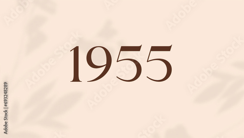 Vintage 1955 birthday, Made in 1955 Limited Edition, born in 1955 birthday design. 3d rendering flip board year 1955.